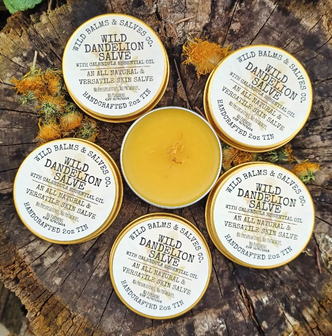 Wild Dandelion Salve