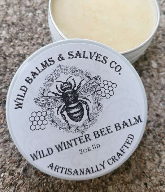 Wild Winter Bee Balm