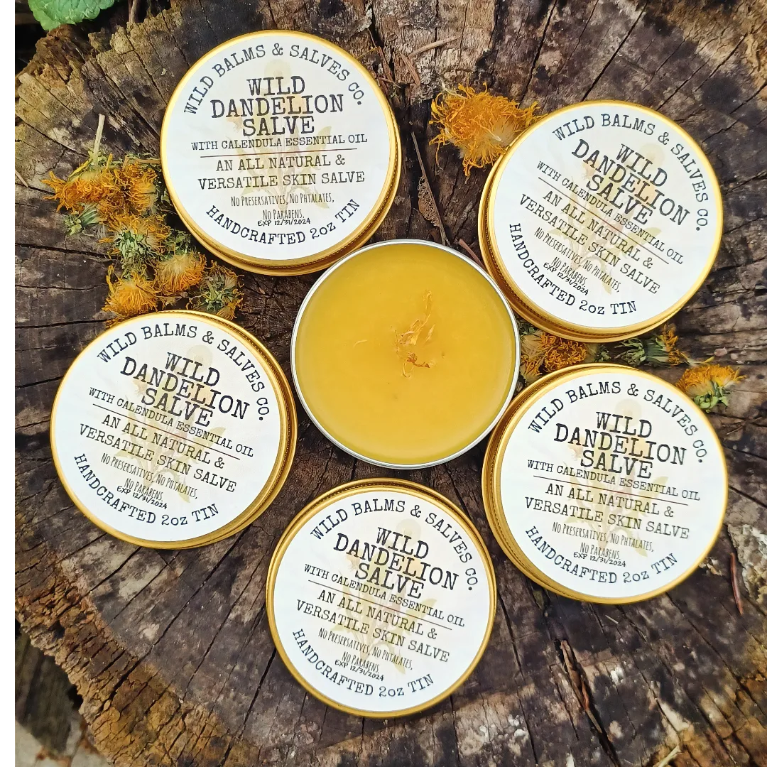 Wild Dandelion Salve