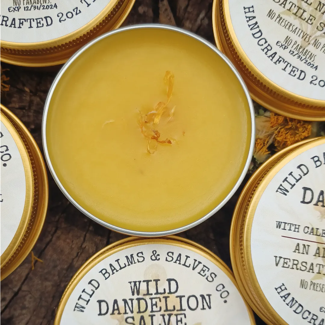 Wild Dandelion Salve