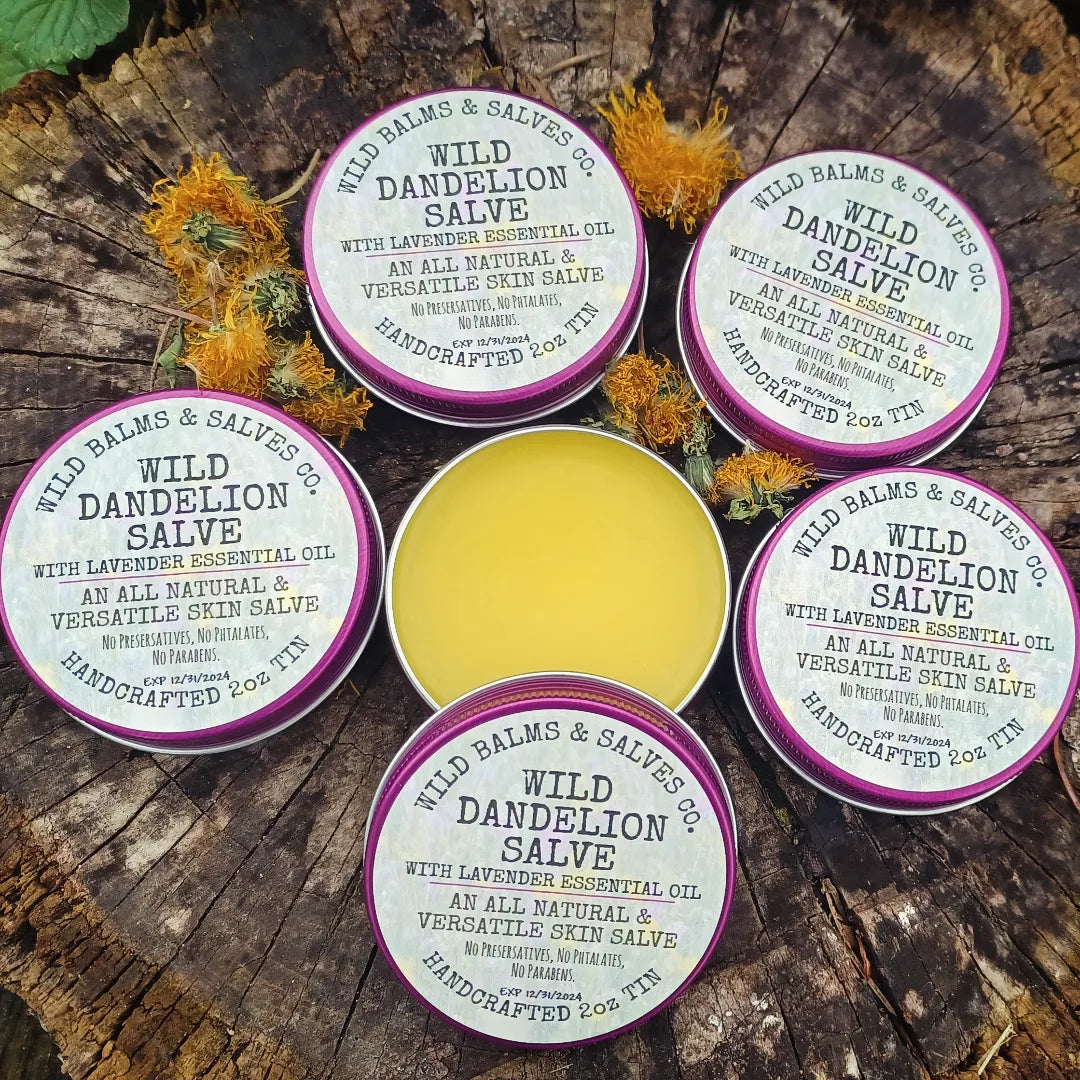 Wild Dandelion Salve