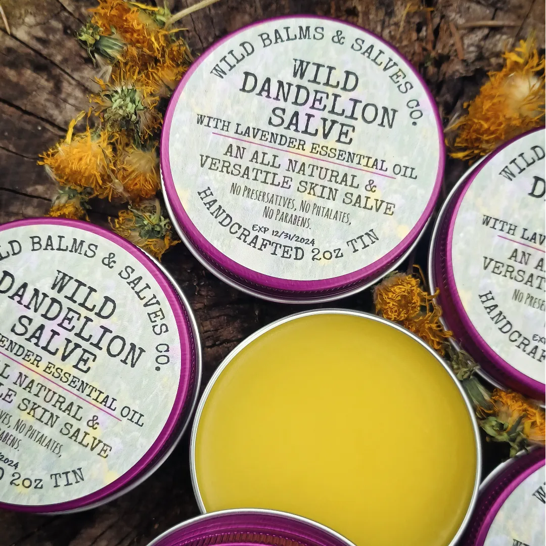 Wild Dandelion Salve