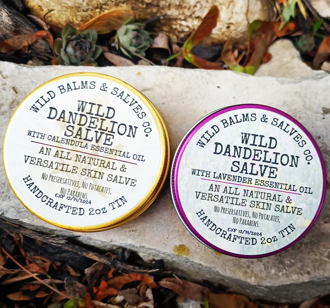 Wild Dandelion Salve