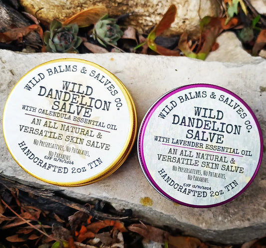 Wild Dandelion Salve