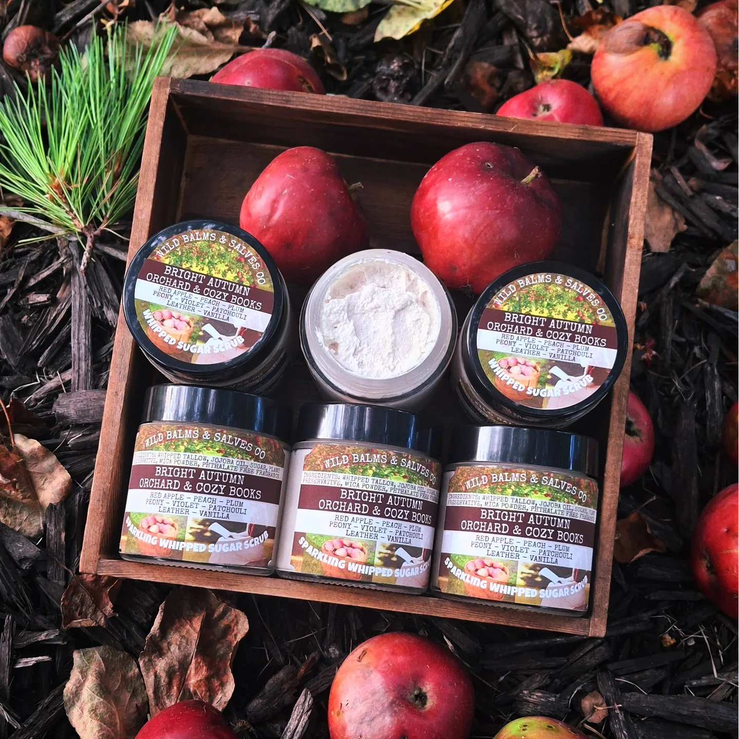 Wild Whipped Tallow Sugar Scrub - Bright Autumn Orchard & Cozy Books