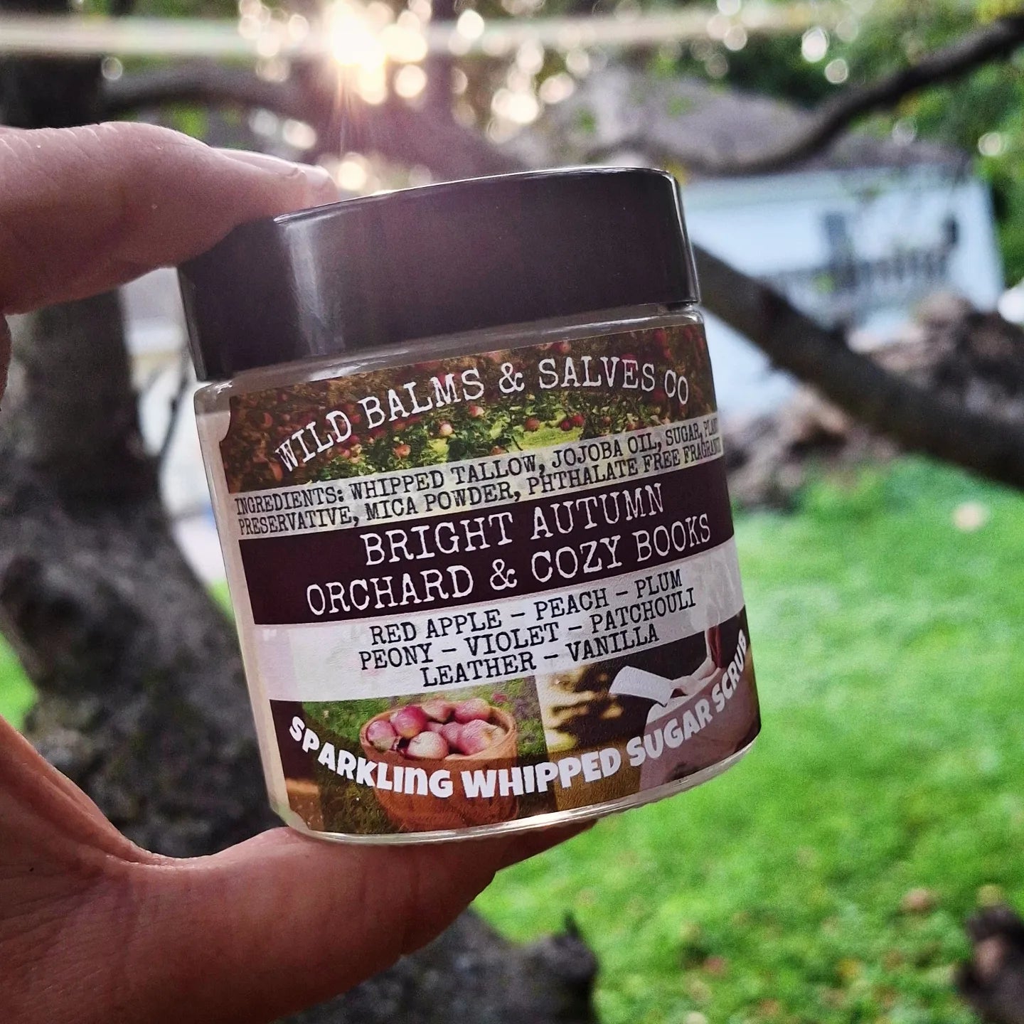 Wild Whipped Tallow Sugar Scrub - Bright Autumn Orchard & Cozy Books