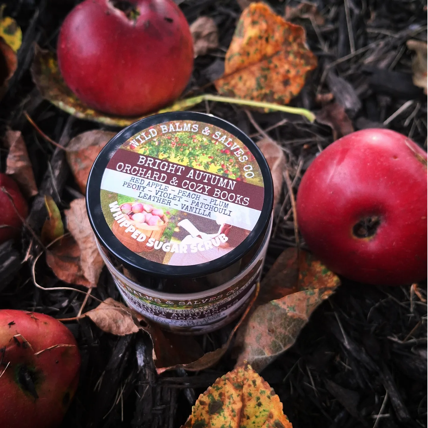 Wild Whipped Tallow Sugar Scrub - Bright Autumn Orchard & Cozy Books