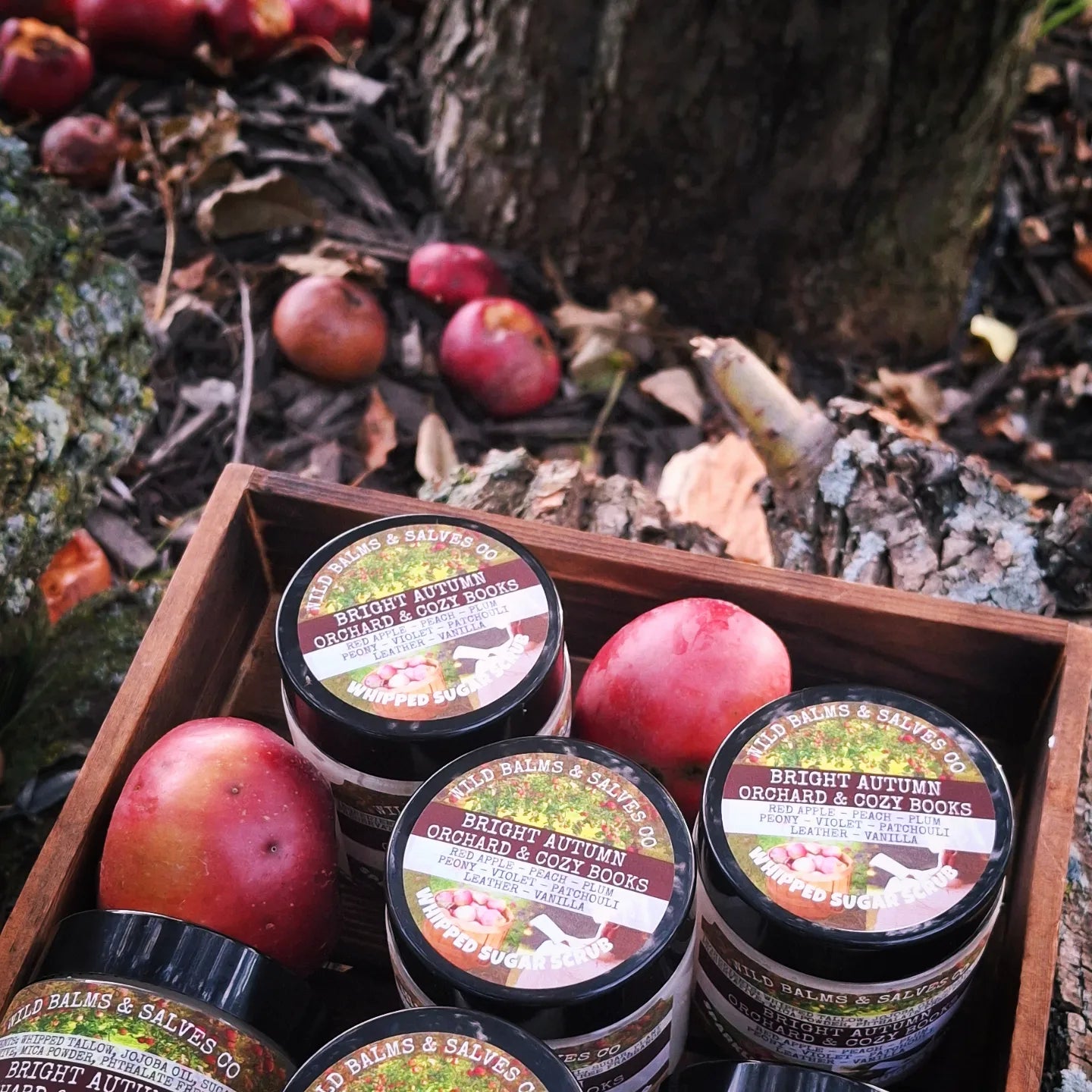 Wild Whipped Tallow Sugar Scrub - Bright Autumn Orchard & Cozy Books