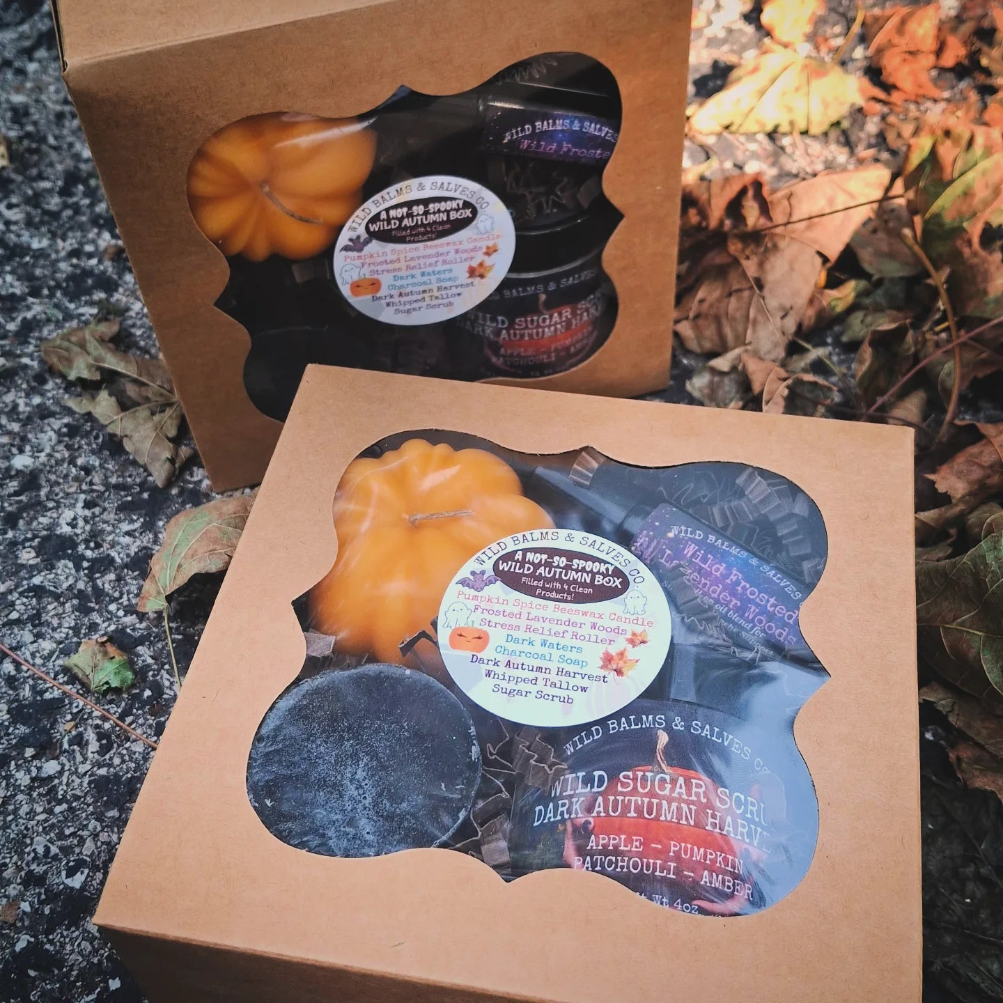 A Not-So-Spooky Wild Autumn Box